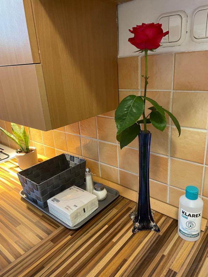 Magnolia Apartman Győr Zewnętrze zdjęcie
